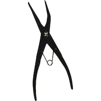 �n�X�R�[�@�g�`�r�b�n�@�g�r�o�U�O�P�a�@�X�i�b�v�����O�v���C���[�i���p�j