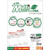 ヒサゴ HISAGO プリンタ帳票B5白紙2面4穴 FSC2053 1冊
