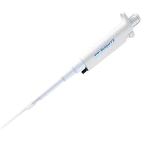 �j�`�����[�@�`�r�@�j�`�y�b�g�@�O�O�m�o�u�Q�r