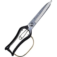 �L���{�V�@�f�r�@�t�����p���������~