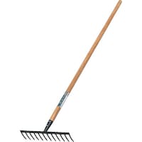 �L���{�V�@�f�r�@�X�`�[�����[�L�i�P�Q�{�܁j