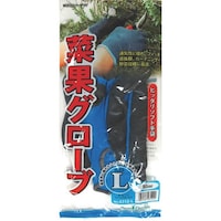 �L���{�V�@�f�r�@�؉ʃO���[�u�@�u���[�i�k�j