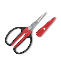 �A���X�@�H��N���t�g�`���L