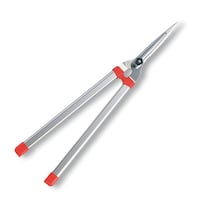 �A���X�@�j�X�O�O�@�y�ʊ������@�O���[