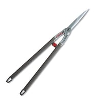 �A���X�@�֐n���y�ʊ����������O