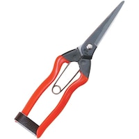 ���ѐ����@�z�H�@�i�P�Q�@�����@��@�a�o