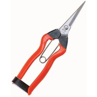 ���ѐ����@�z�H�@�j�X�@�X�e�����X�@�E�����@�a�o