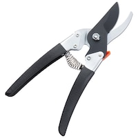 �T�{�e���@�������@���@�t�b�f