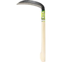 �ЎR����@�S�|�@�o�n��