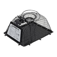 �R���p���@�@�R���p���@�u���b�N�@�`���[�n�E�X�^