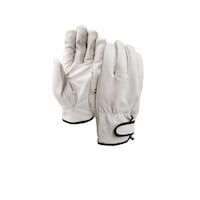 �����ӂ���܁@�q�R�T�@���@�l�@���ȃ��W���[�@�P�o