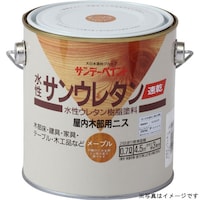 �T���f�[�y�C���g�@�����T���E���^���@�`�[�N�@�V�O�O����