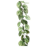 �X���n�Ӂi�X�g�A�E�G�L�X�v���X�j�@�f���b�N�X�K�[�����h