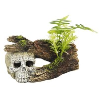 ペットライブラリー aquaneru アクアリウムオーナメント 頭蓋骨と植物