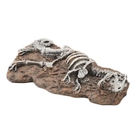 �y�b�g���C�u�����[�@�����������������@�A�N�A���E���I�[�i�����g�@�e�B���m�T�E���X�̉���