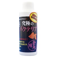 Bblast 究極のバクテリア 金魚用