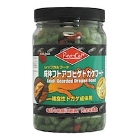 ビバリア 成体フトアゴヒゲトカゲフ‐ド