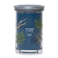 カメヤマ アロマキャンドル ヤンキーキャンドル シグネチャータンブラー 2ウィック ベイサイドシダー