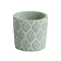 �A�r�e�@�A�ؔ��@�R�[�V�F���@���E���h�|�b�g�@�r�@���a�P�O�����@�t�����[�|�b�g�@�O���[���@���T�ȏォ�璍���\�i�̔����i�͂P�P�ʂ̉��i�j