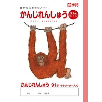 TNNpX@wK@񂶁@XPq~PO