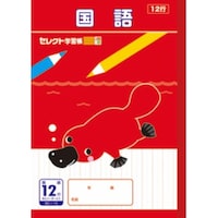 文運堂 B5セレクト学習帳 国語12行×10