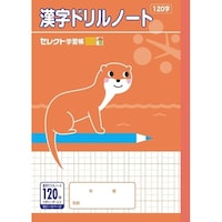 文運堂 B5セレクト学習帳 漢字ドリル120字+×10