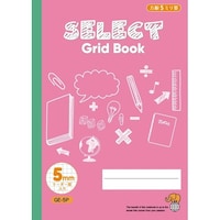 文運堂 B5カラー方眼 5mmピンク×10