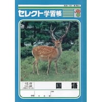 文運堂 B5セレクト学習帳 国語15行×10
