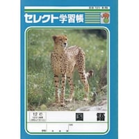文運堂 B5セレクト学習帳 国語12行×10