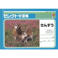 文運堂 B5セレクト学習帳 さんすう6マス×10