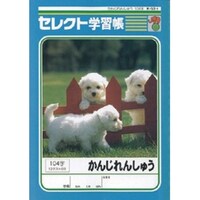 文運堂 B5セレクト学習帳かんじれんしゅう104×10