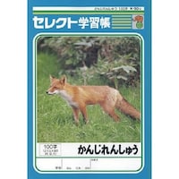 文運堂 B5セレクト学習帳かんじれんしゅう100×10