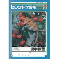 文運堂 B5セレクト学習帳 漢字練習150字×10