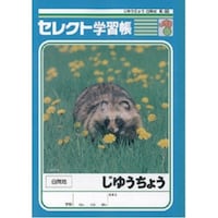 文運堂 B5セレクト学習帳 じゆうちょう×10