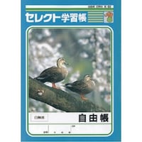 文運堂 B5セレクト学習帳 自由帳×10