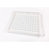 �X�e���@�X�U���~�j�v���[�g�E�ے�i�e���T�L�^�j�E�J�o�[�Z�b�g�@�o�X�U�q�R�V�r�@�o�X�U�q�R�V�r�@�P��