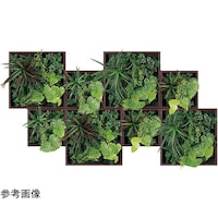 �A�ڃO���[��