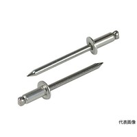 エビ印 ブラインドリベット(ステンレス/ステンレス製) 41(300本入) エコBOX NST41EB NST41EB 1箱