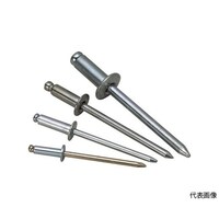 エビ印 ブラインドリベット(ステンレス/スティール製) 41(300本入) エコBOX NSS 41EB NSS 41EB 1箱