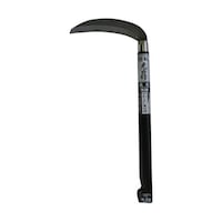 �L����́@����