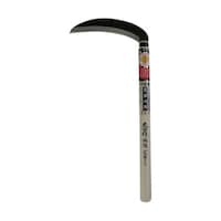 �L����́@���R��@���n�������@�g�s�O�T�Q�O�@�g�s�O�T�Q�O�@�P��