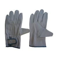 �������Y�f�Ձ@�|�[�N�W���C���Q�P�O