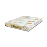 北越コーポレーション 007574600 コピー用紙 A3