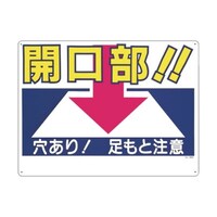 �c�N�V�H�[�@�W���@�u�J�����I�I������I�����ƒ��Ӂv�@�S�U�`�@�S�U�`�@�P��