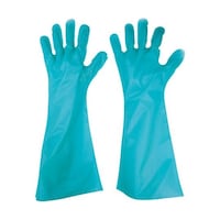 �����p�b�N�@�G���{�X��܃����O�ܖ{�i��@�O���[���@�k�@�P�܁i�T�O�����j�@�f�k�S�T�k�@�f�k�S�T�k�@�P��