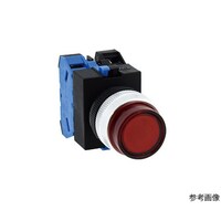 IDEC 照光押ボタン形記名式(LED)モメンタリ形