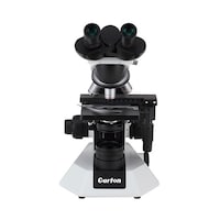 �J�[�g���@�b�f�V���[�Y�����������@�b�f�a�P�T�@�b�f�a�P�T�@�P��