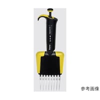 �T�[���t�B�b�V���[�@�t�B���s�y�b�g