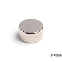 二六製作所 ネオジム Φ10×1(N52)30個入