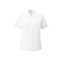 �a�n�m�@�����u���E�X